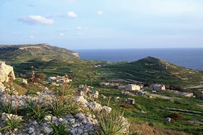 53556259_625573521205444_9131341659479474176_n