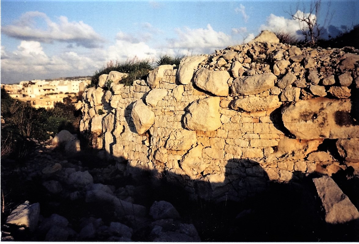 Nadur-Sur ta' Borg in-naddur