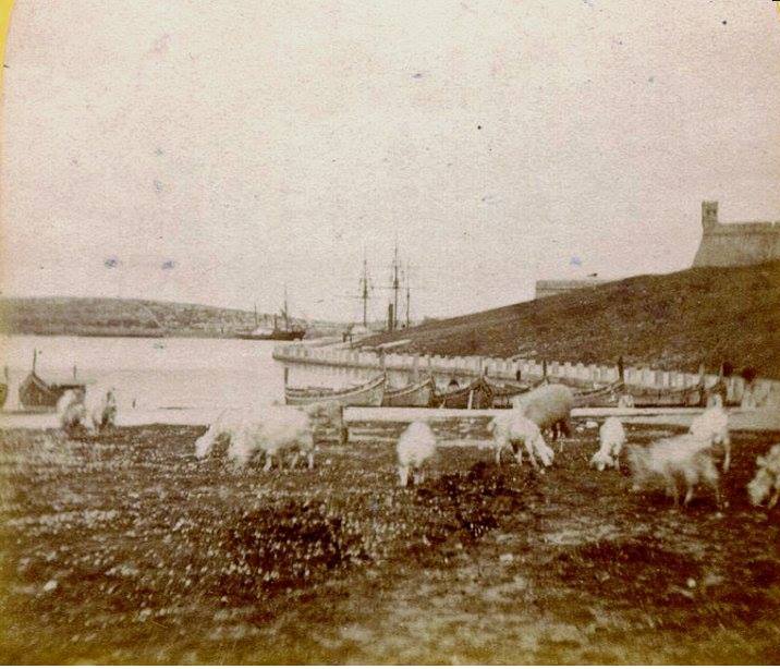 Pieta Quarantine harbour