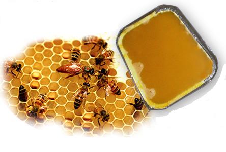 xehda ftira għasel2