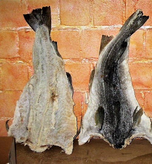 randan bakkaljawjpg - Copy