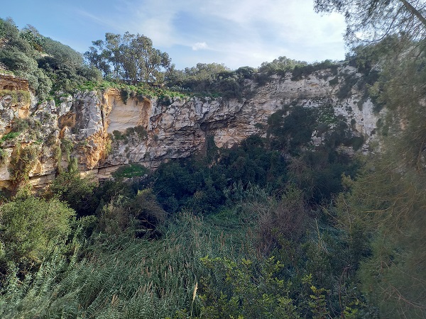 20201208_132457 - Copy