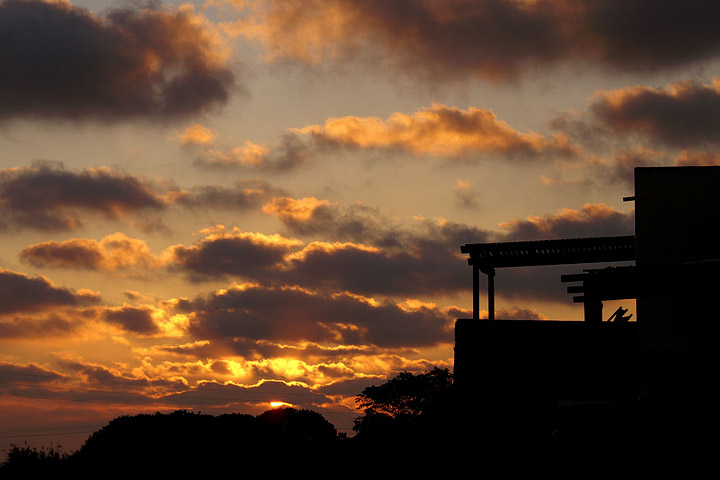 KONICA MINOLTA DIGITAL CAMERA