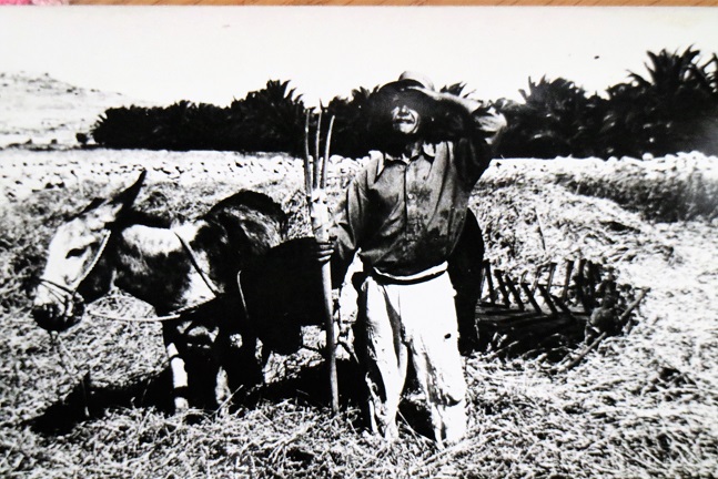 Andar Qiegha ila _0042 (2)