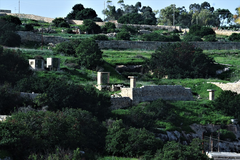 Wilga ghar dalam MG_5504