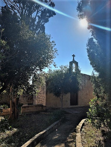 hal millieri bix xemx joe morana