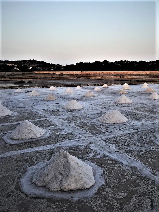 Salina tks to Salina Nature Park 00168