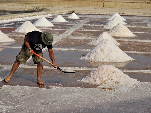 Salina tks to Salina Nature Park IMG_1582