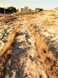 Clapham Junction rutsF1029