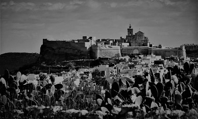 Citadella Joe Morana 1384_n