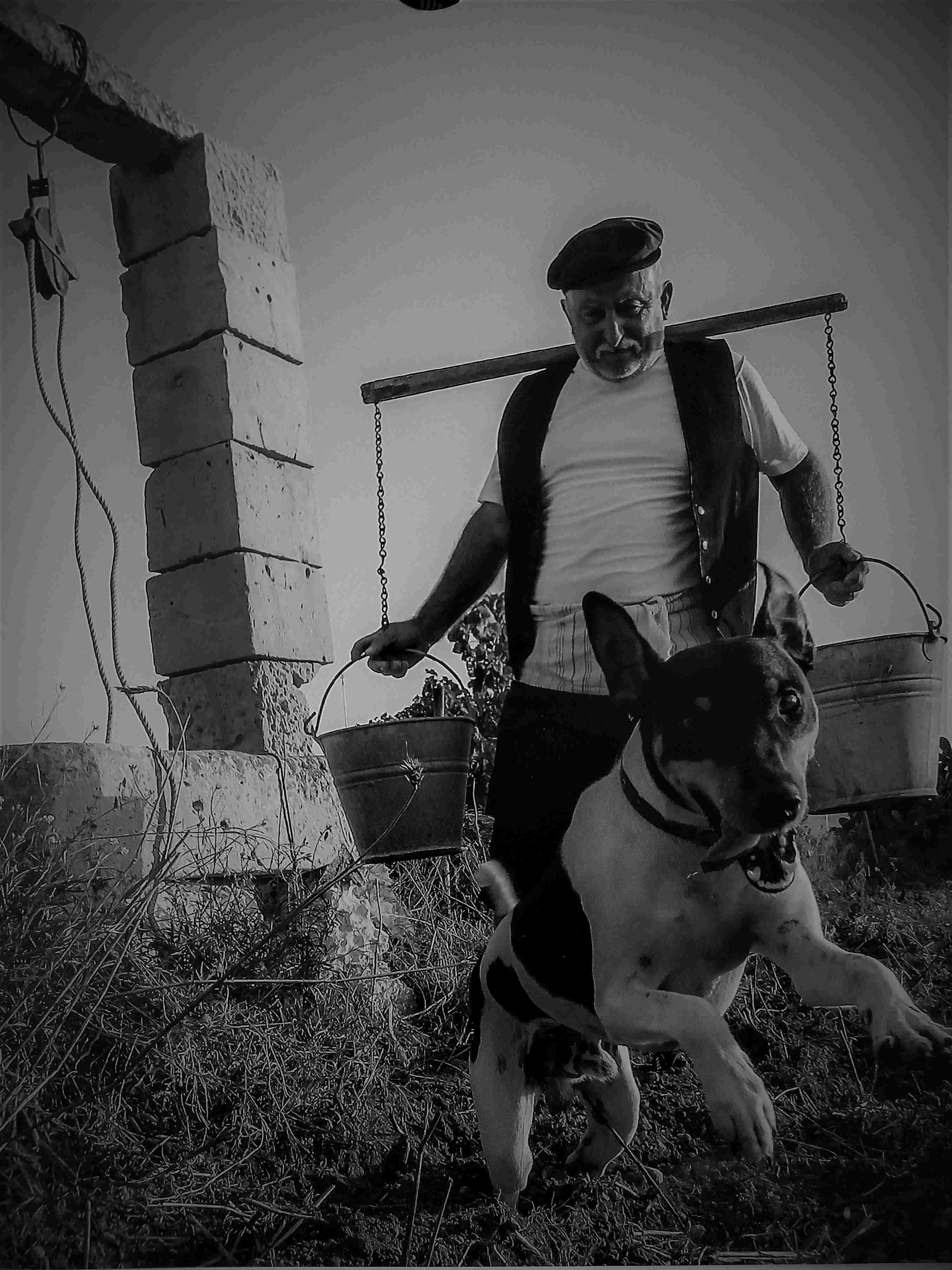 menza fuq spallejn il bidwi