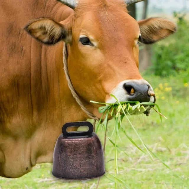 ccbeff01-7bfa-4c16-a997-b0836ac0f7a4.f90e9ab5380bbe7e9ea38ea504f0aba8